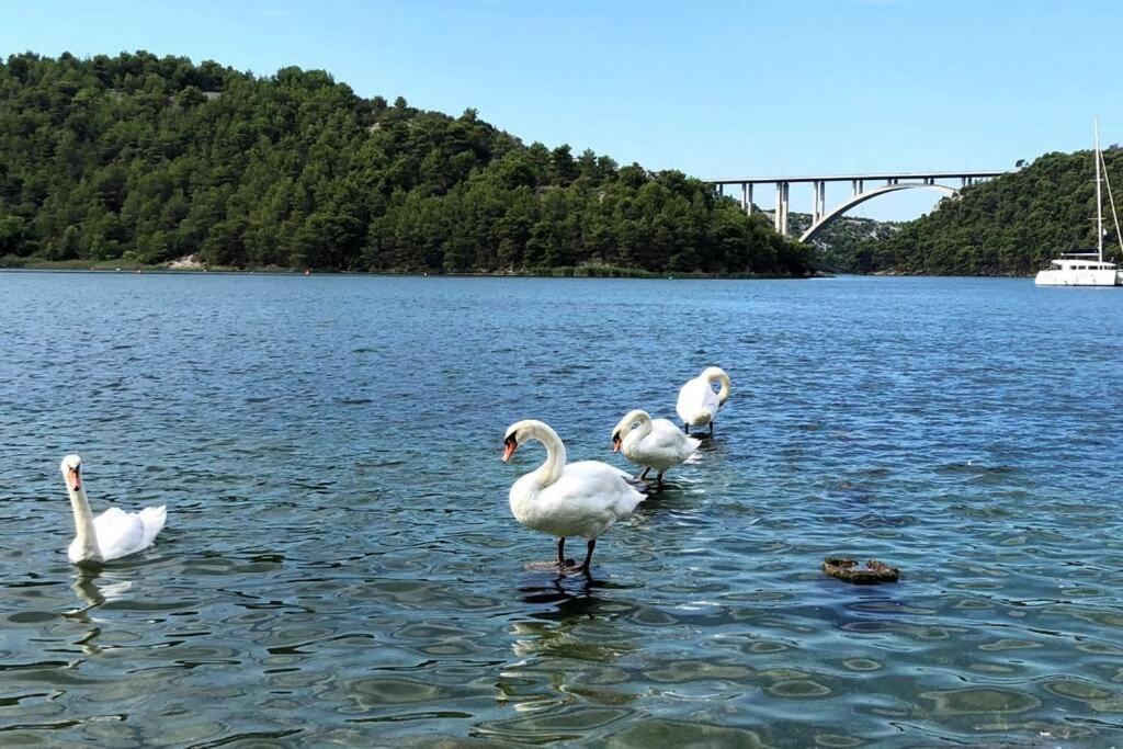 Appartement Family House Scardona - Dreams By The River Krka